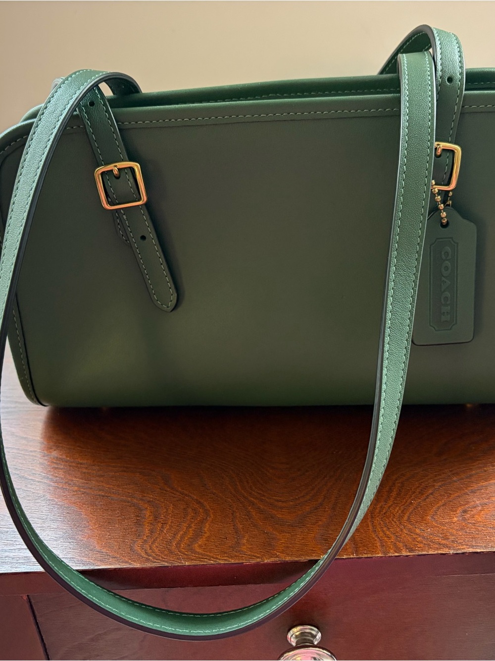 Coach Swing Zip